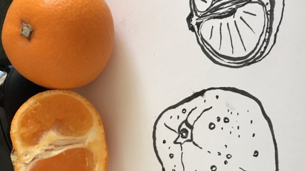 Мандарин скетч