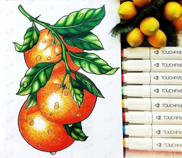 Скетчинг маркерами фрукты