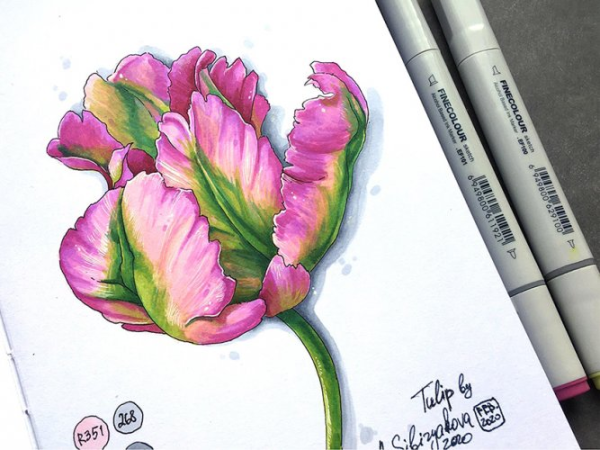 Скетчинг цветы маркерами для начинающих