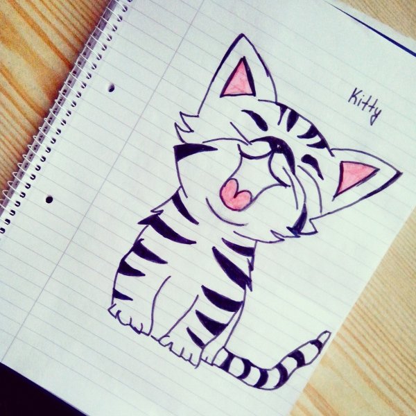 Рисунки для срисовки фломастерами легкие