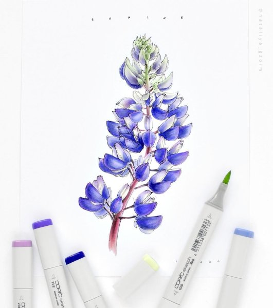 Цветы маркерами для скетчинга