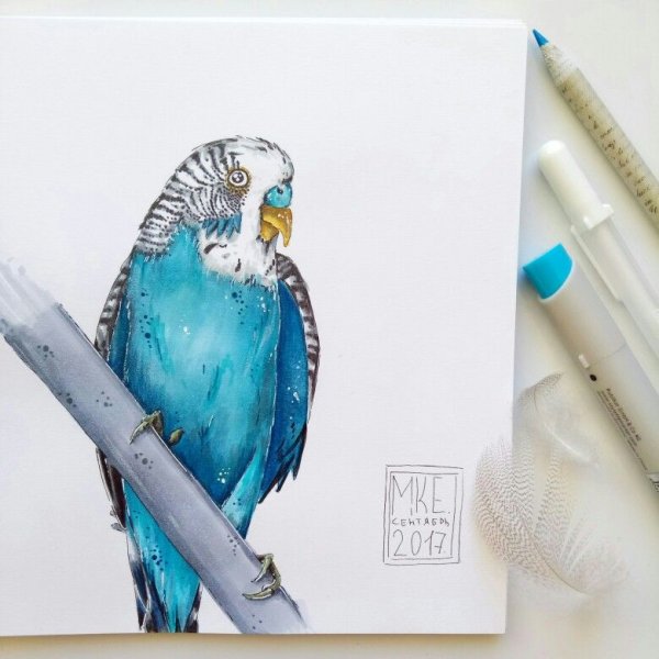 Животные маркерами