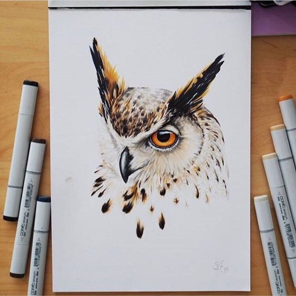 Рисование маркерами животные