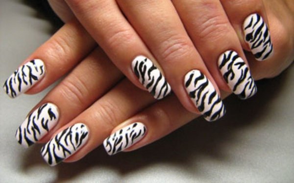 Ногти Зебра