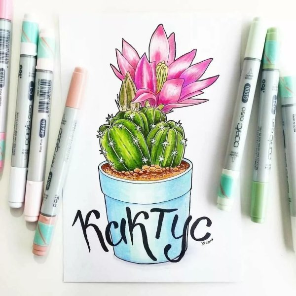 Рисунки спиртовыми марками