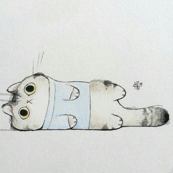 Рисунки для скетчбука лёгкие котики