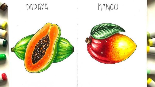 Фрукты маркерами