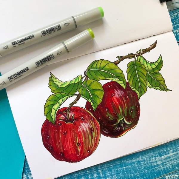 Рисунки маркерами для начинающих