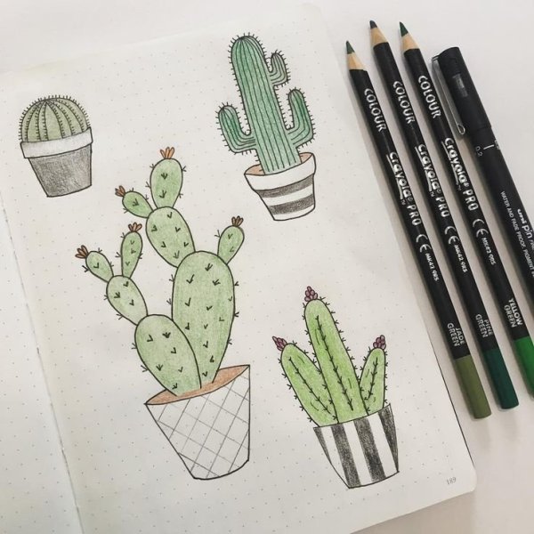 Кактусы для скетчбука