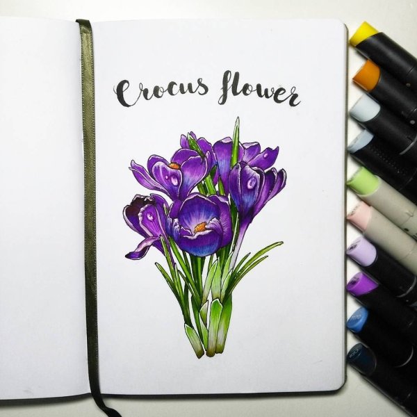 Цветы для скетчбука