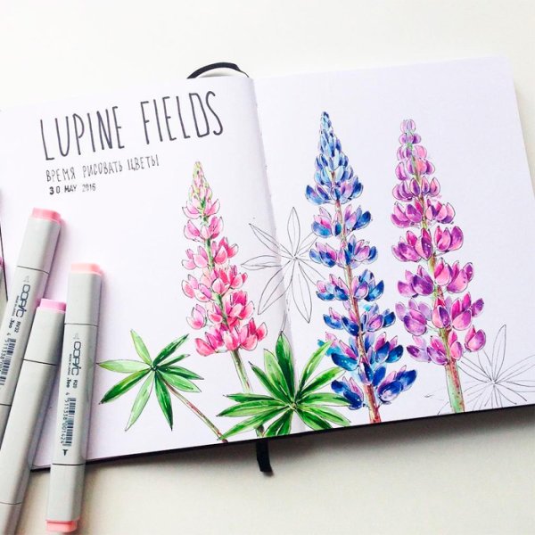 Рисунки маркерами