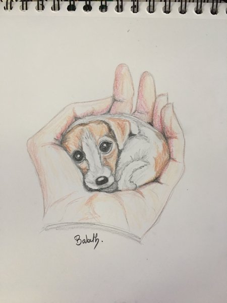 Рисунки фломастерами