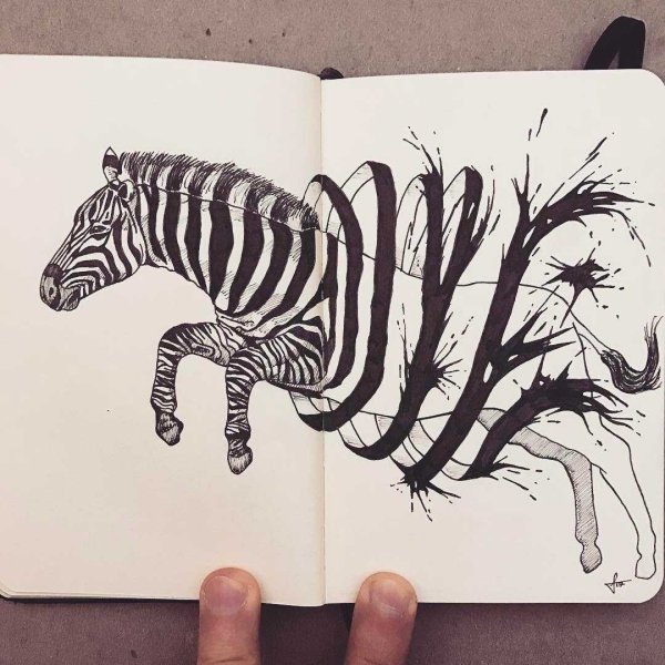 Рисунки животных для скетчбука