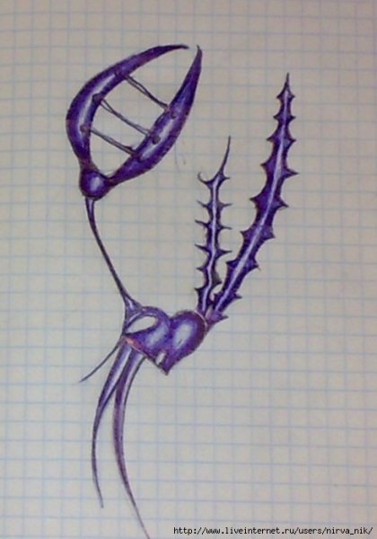 Рисунки ручкой в тетра