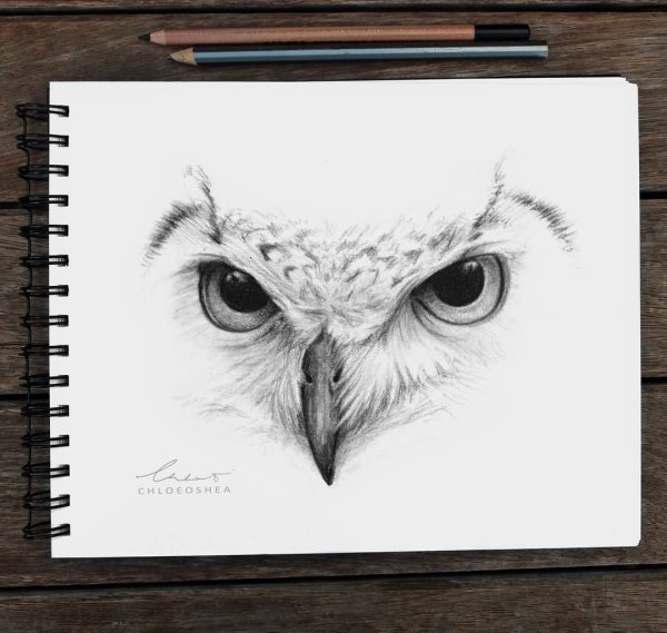 Глаз Совы карандашом