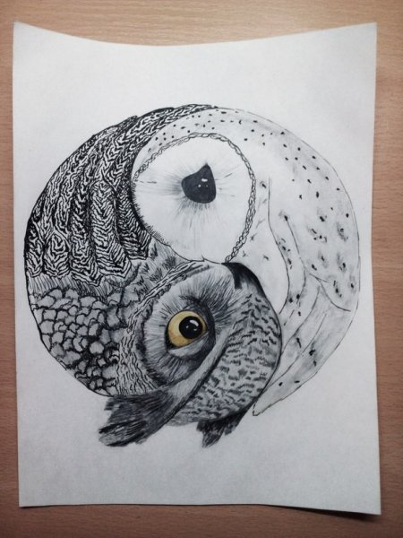 С ручкой Сова