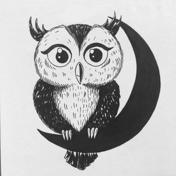 Графическая Сова