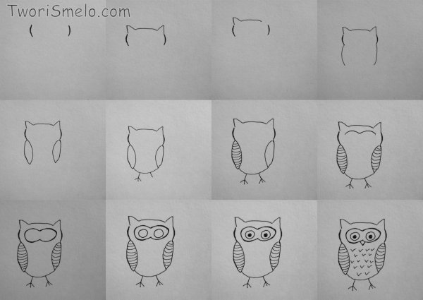Поэтапное рисование Совы