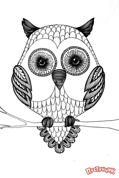Зентангл животные Сова