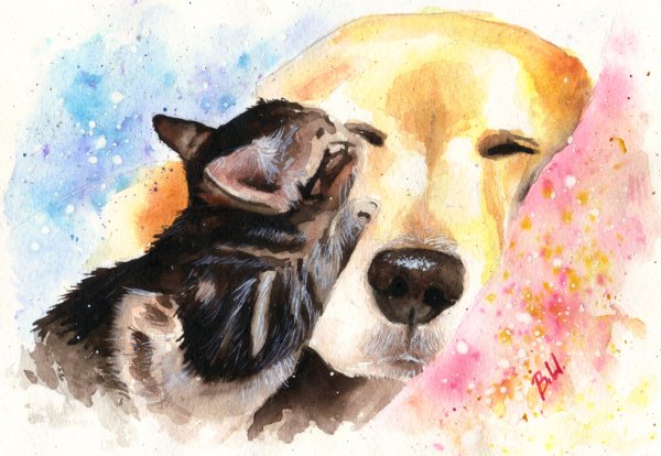 Рисунки собак акварелью