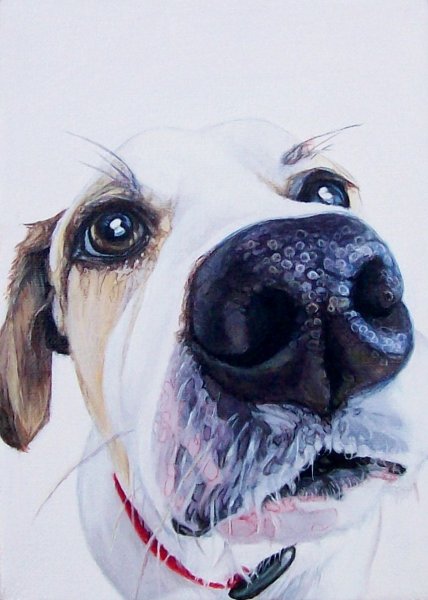Акварельный портрет собаки