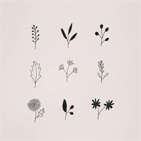 Растительный узор Минимализм
