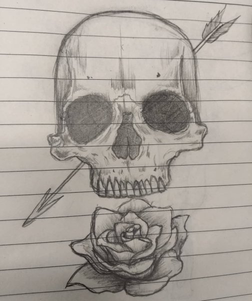 Череп рисунок карандашом для срисовки