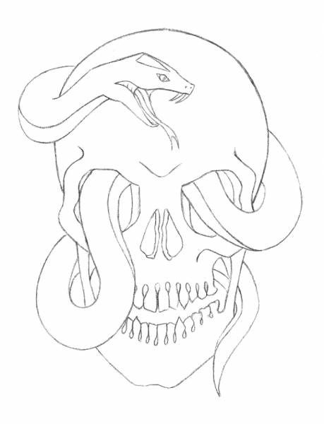 Череп для срисовки