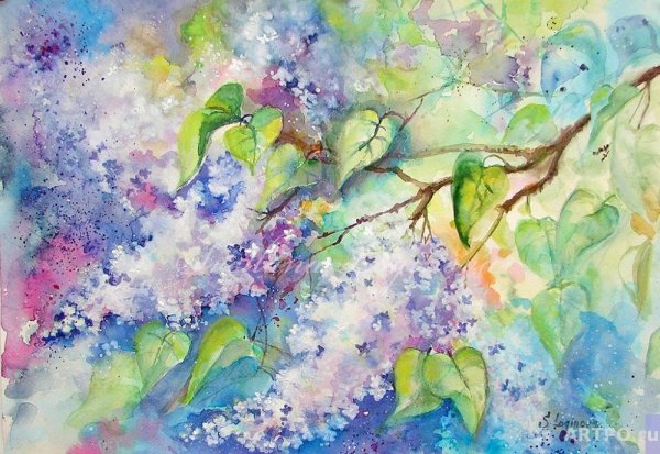 Акварельные рисунки