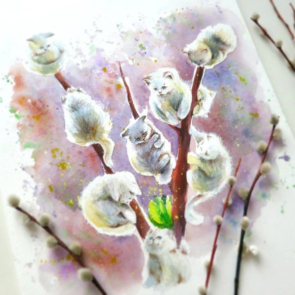 Ветка вербы акварель