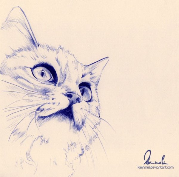 Ручка с котиком