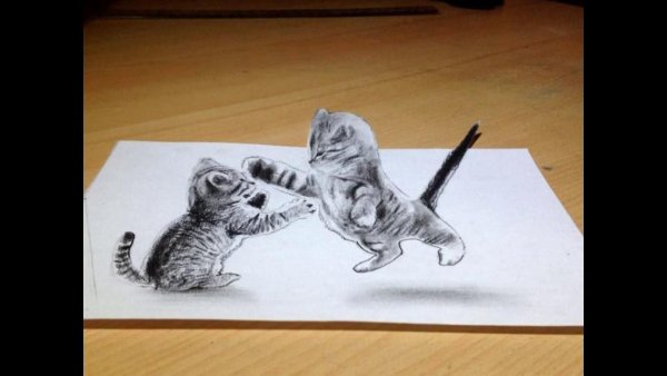 3д рисунки карандашом на бумаге