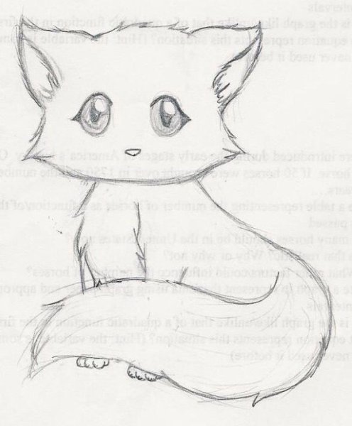 Котики для срисовки карандашом