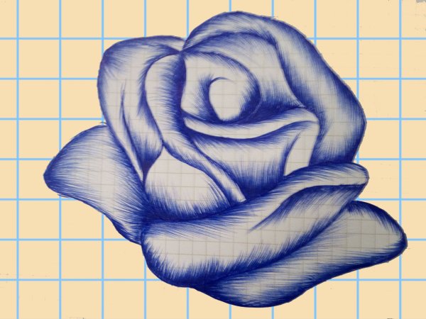 Красивые и простые рисунки