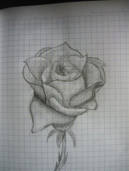 Рисунки карандашом лёгкие и красивые