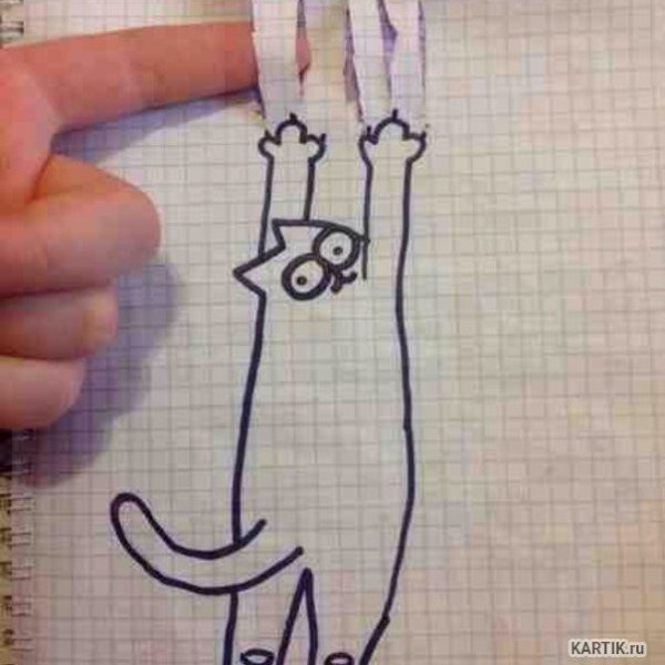 Рисунки для Скейтс бука