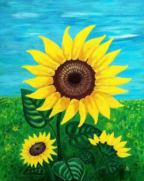Подсолнухи рисунок гуашью
