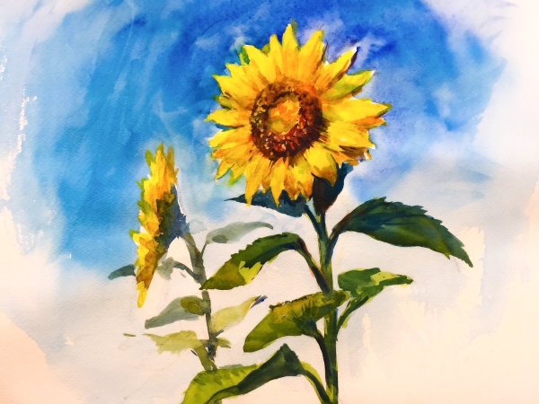 Подсолнухи акриловыми красками