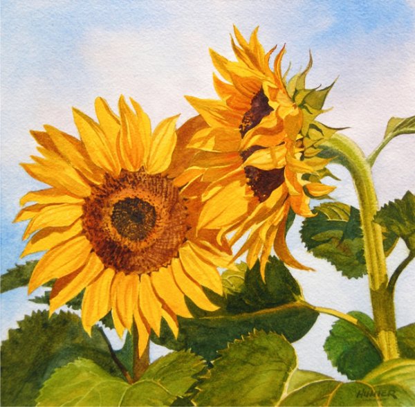 Рисование акрилом подсолнухов