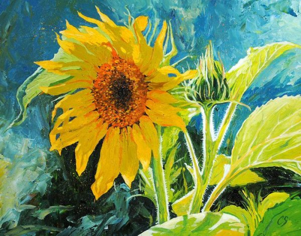 Подсолнух абстракция Графика