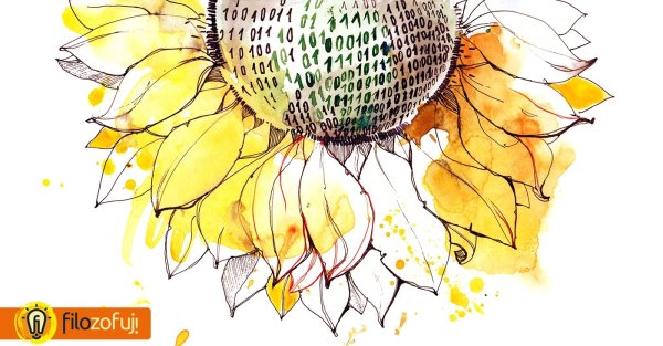 9 Подсолнухов