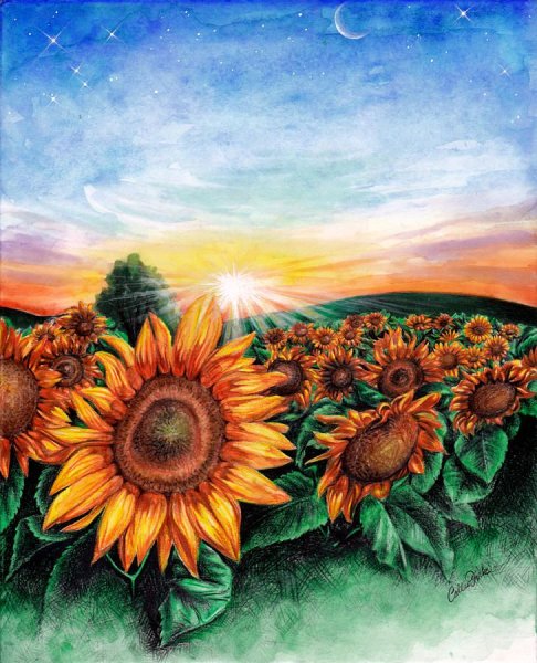 Рисование красками подсолнух