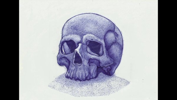 Рисунки ручкой череп