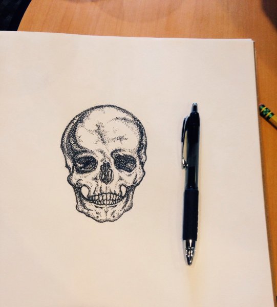 Череп фломастером