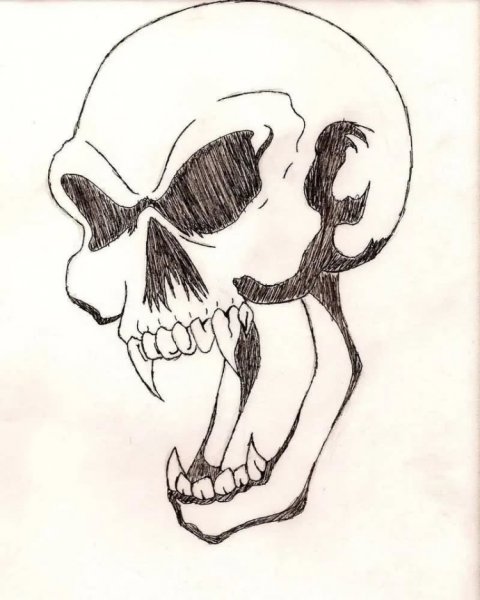 Череп для срисовки