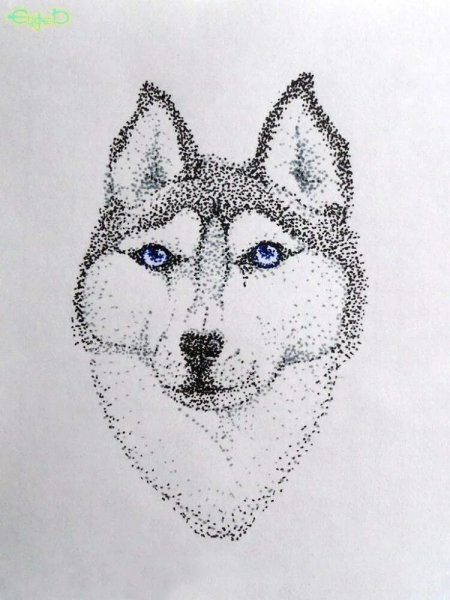 Точечное рисование ручкой