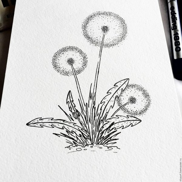 Рисунки чёрной ручкой