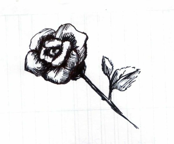 Тату Ромашка эскизы