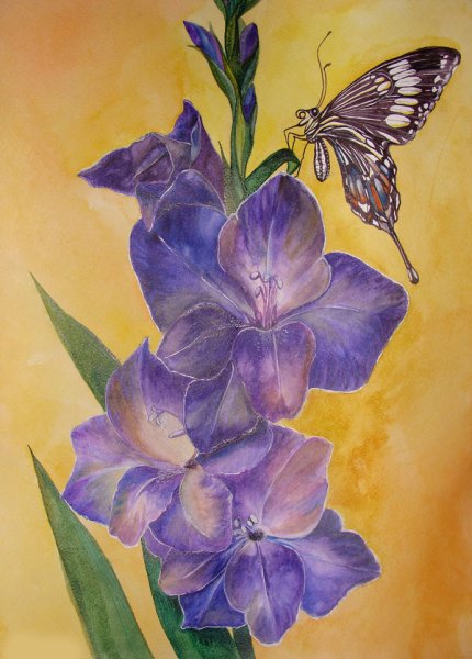 Гладиолус сиреневая акварель