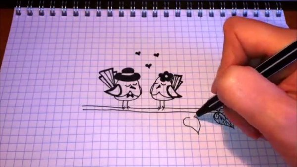 Рисунки по клеточкам ручкой